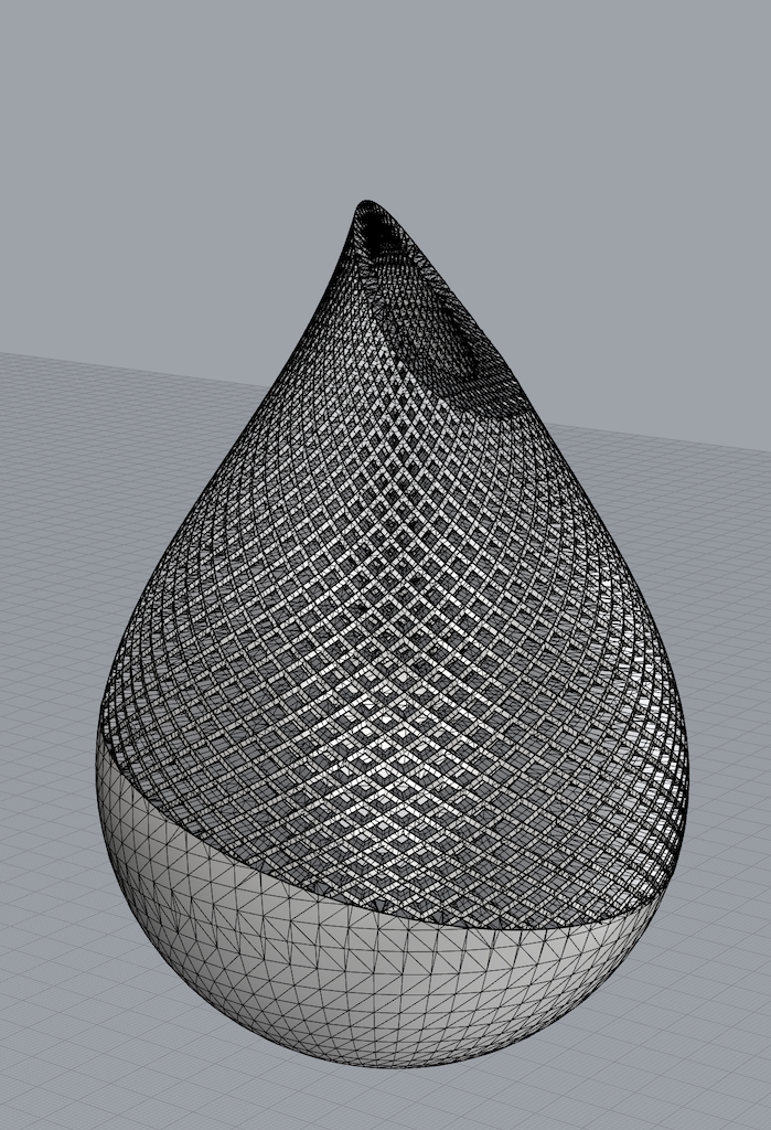 Rhino screenshot of teardrop mesh